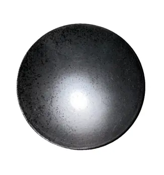 JDS490